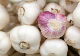Here's why you should sleep with cloves of garlic under your pillow Health insurance