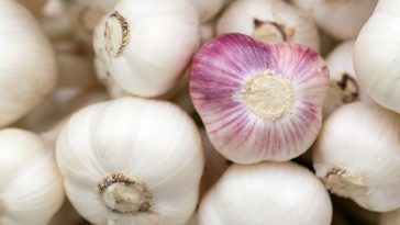 Here's why you should sleep with cloves of garlic under your pillow Health insurance