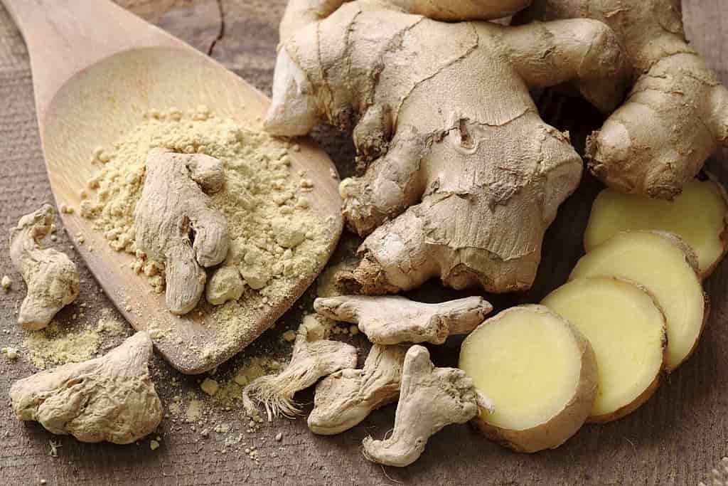 ginger health benefits