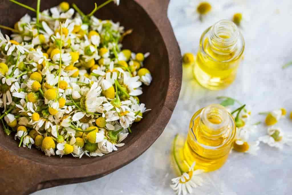 CHAMOMILE OIL MASSAGE