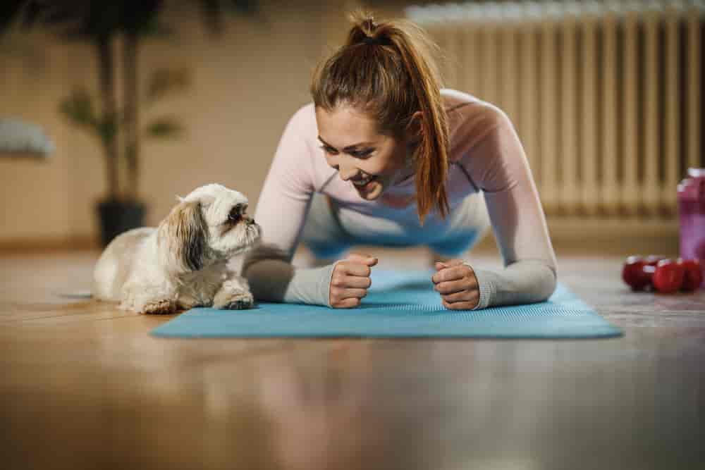 dog training club