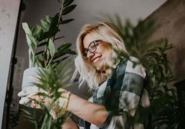 indoor plants 101