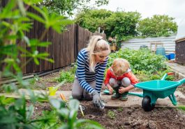 A shot of a young toddler boy and his pregnant mother in a community garden. They are wearing casual clothing and are kneeling and looking at something in the soil.