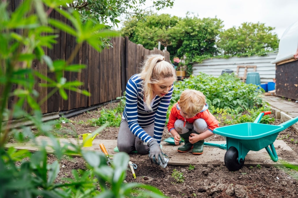 A shot of a young toddler boy and his pregnant mother in a community garden. They are wearing casual clothing and are kneeling and looking at something in the soil.