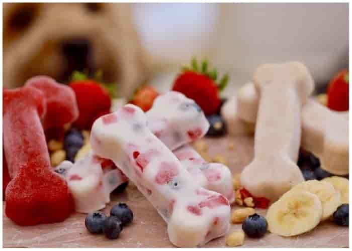Simple Frozen Dog Treats to Make