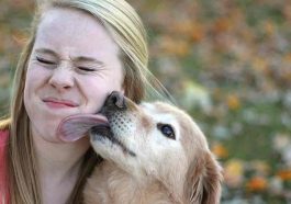how much dog grooming cost near dog park how many dog attacks per year near dog pet shop are dog breeds capitalized dog rescue near me