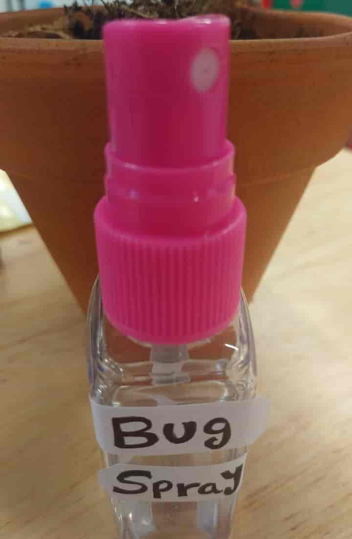 Don’t Bug Me