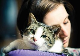 best cat toys