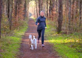 Controlling A Hyperactive Dog