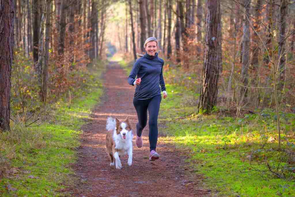 Controlling A Hyperactive Dog